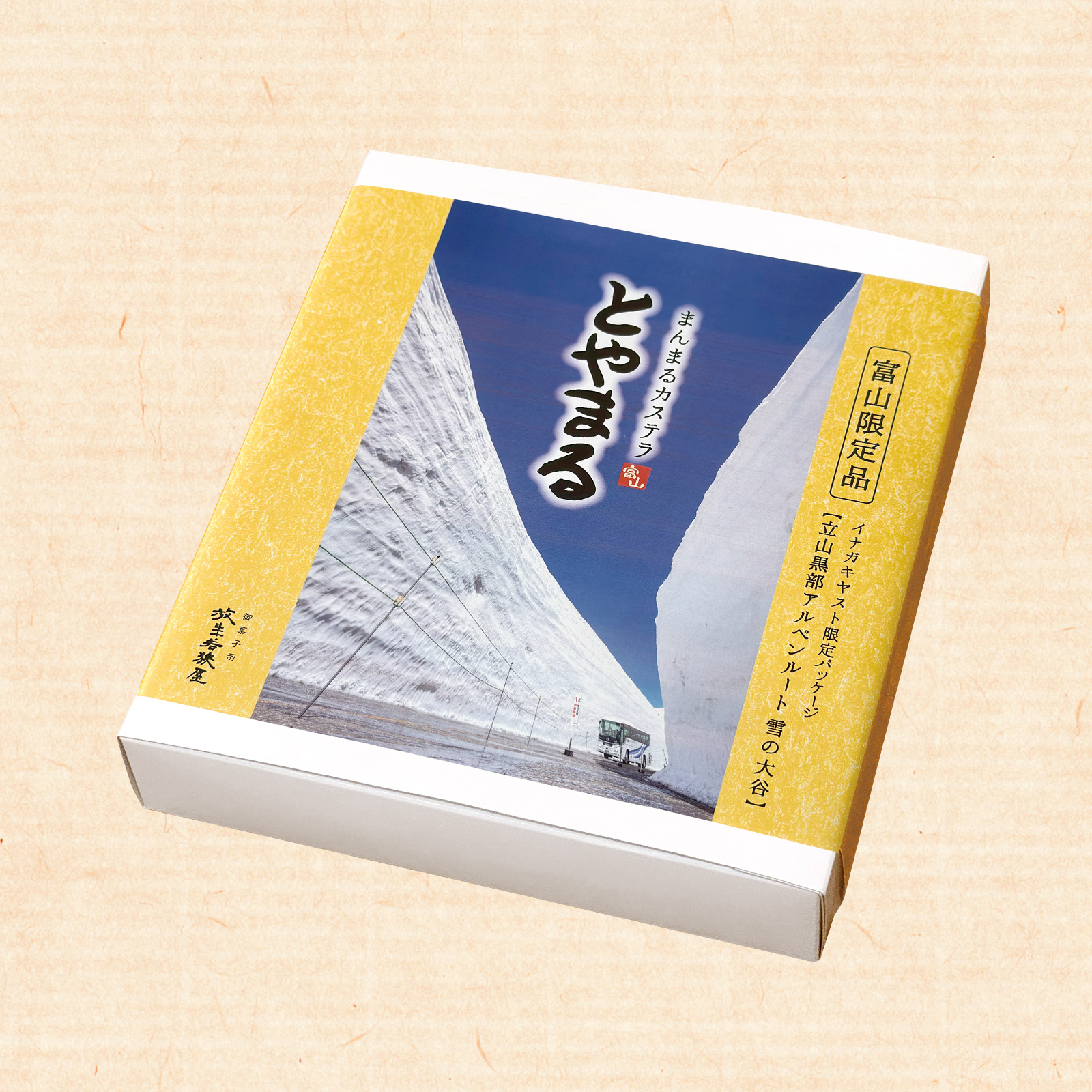 toyamaru-plain-ltd-yukinootani